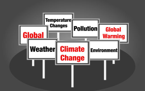 Placards reading climate change, weather, global warming and pollution